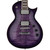 ESP LTD EC-256FM Flamed Maple Electric Guitar, See Thru Purple Sunburst