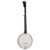 Recording King RK-OT25E-BR Madison Open Back Acoustic Electric Banjo, Scooped Fretboard

