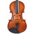 Palatino VN-200-1/2 Genoa Violin Outfit, 1/2 Size

