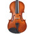 Palatino VN-200-3/4 Genoa Violin Outfit, 3/4 Size

