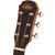 Aria 111DP Delta Player Dreadnought Acoustic Guitar, Muddy Brown

