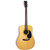 Recording King RD-318 All Solid Dreadnought Acoustic Guitar, Aged Adirondack Top (RD-318)