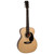 Recording King RO-318 Solid Mahogany 000-Body Acoustic Guitar, Aged Adirondack Top (RO-318)