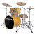 Ludwig LCEE22021EXP Element Evolution 5-Piece Drum Set with Hardware, Gold Sparkle (LCEE22021EXP). CYMBALS NOT INCLUDED.