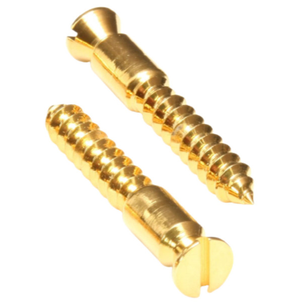 Floyd Rose FRBMWSSGP Original Bridge Mounting Wood Screws, Gold, Set of 2 (FRBMWSSGP)