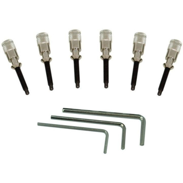 Floyd Rose FRHPNP Hollow Point Intonation System for Double Locking Tremolos, Nickel (FRHPNP)