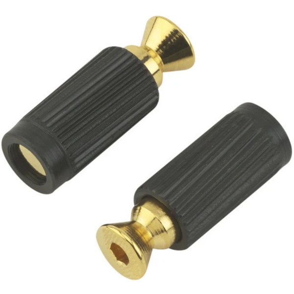 Floyd Rose FR1BMMSG 1000 Series/Special Bridge Mounting Studs and Inserts, Gold, Set of 2 (FR1BMMSG)