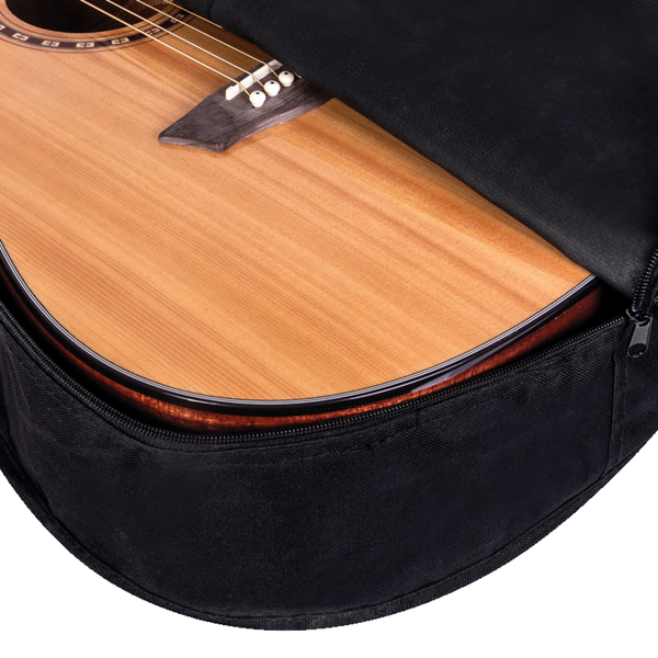 Washburn Apprentice D5CE Dreadnought Acoustic Electric Guitar Starter