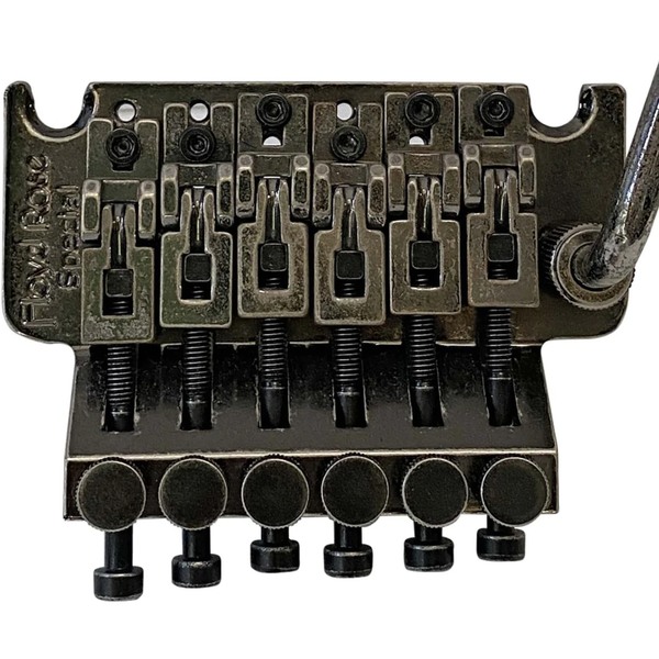 Floyd Rose FRTS2000R Special Relic Series Tremolo System with R3 Locking Nut, Relic Black (FRTS2000RELICR3)