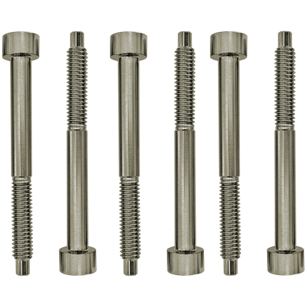 Floyd Rose FROSLSTIP Titanium String Lock Screws, Set of 6 (FROSLSTIP)
