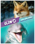 Glow Jr Leader Guide Jan-Apr 2023