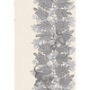 Acacia - Grey & White By Cole & Son
