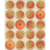 Arance - Orange/Cream By Cole & Son