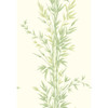 Bamboo - Green By Cole & Son