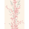 Bamboo - Pink By Cole & Son