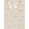 Butterflies & Dragonflies - Grey By Cole & Son