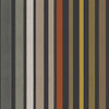 Carousel Stripe - Charcoal By Cole & Son