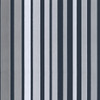 Carousel Stripe - Grey By Cole & Son