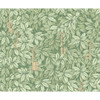Chiavi Segrete - Olive By Cole & Son