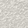 Columbus - Black &White By Cole & Son