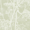 Cow Parsley - Olive By Cole & Son