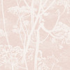 Cow Parsley - Plaster Pink By Cole & Son