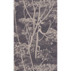 Cow Parsley - Taupe/B By Cole & Son