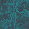 Cow Parsley - Teal By Cole & Son
