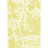 Cow Parsley - White/Y By Cole & Son
