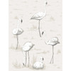Flamingos - Charcoal/Wht By Cole & Son