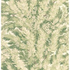 Florencecourt - Olive By Cole & Son
