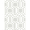 Hicks Grand - Dove Grey By Cole & Son