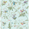 Hummingbirds - Blue Multi-Colour By Cole & Son