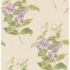 Madras Violet - Olive & Lavender By Cole & Son