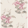 Madras Violet - Pink By Cole & Son