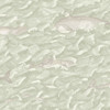 Melville - Green By Cole & Son