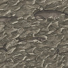 Melville Mt - Charcoal By Cole & Son