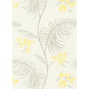 Mimosa - White By Cole & Son