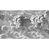 Nuvolette - Black/White By Cole & Son