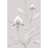 Orchid - Grey/White By Cole & Son