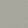 Pebble - Grey By Cole & Son