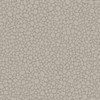 Pebble - Mushroom By Cole & Son
