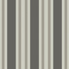 Polo Stripe - Black/White By Cole & Son