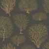 Seafern - Black & Gold By Cole & Son