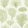 Seafern - Soft Green By Cole & Son