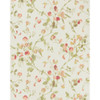 Sweet Pea - Pink By Cole & Son