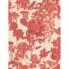 Tivoli - Coral By Cole & Son