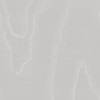 Watered Silk - Cloud Grey By Cole & Son