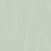 Watered Silk - Duck Egg By Cole & Son
