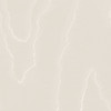 Watered Silk - Pearl By Cole & Son